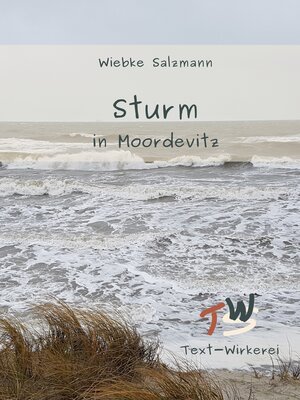 cover image of Sturm in Moordevitz